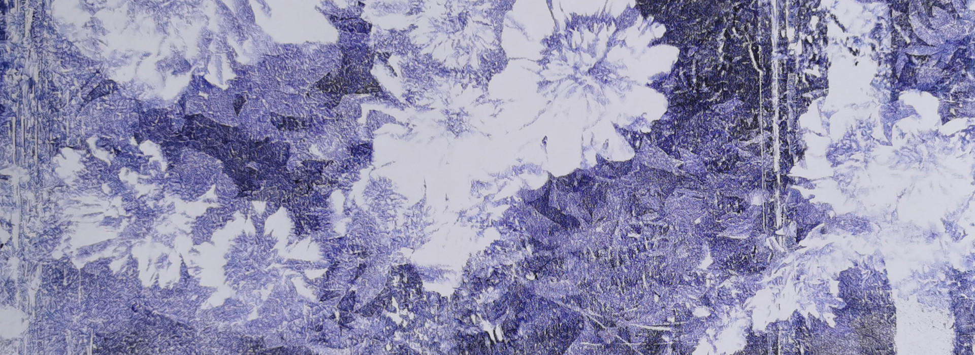 banner001.jpg